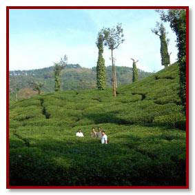 chikmangalur - kerala