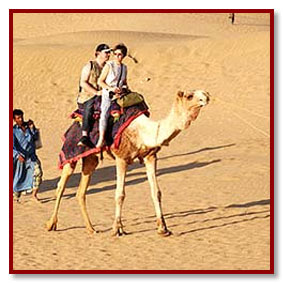 rajasthan camel safari