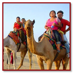 camel safari - jaisalmer