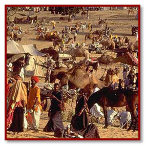 famous pushkar fair picture