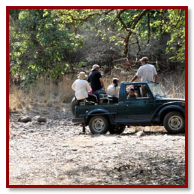 ranthambore national park